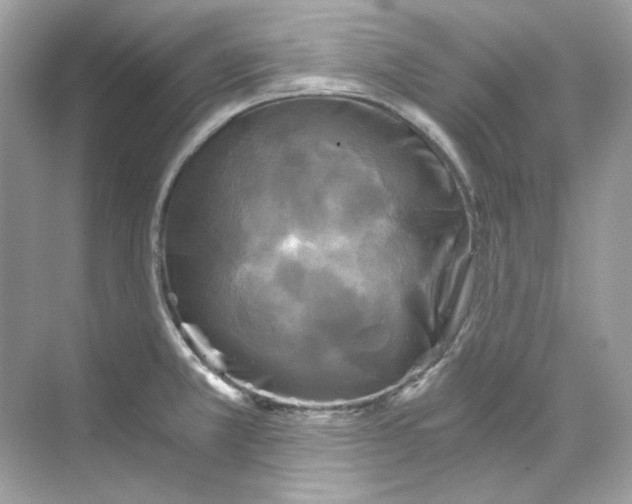 X0000069811381200606091824