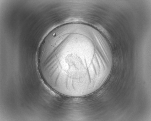 X0000069811382200606091824