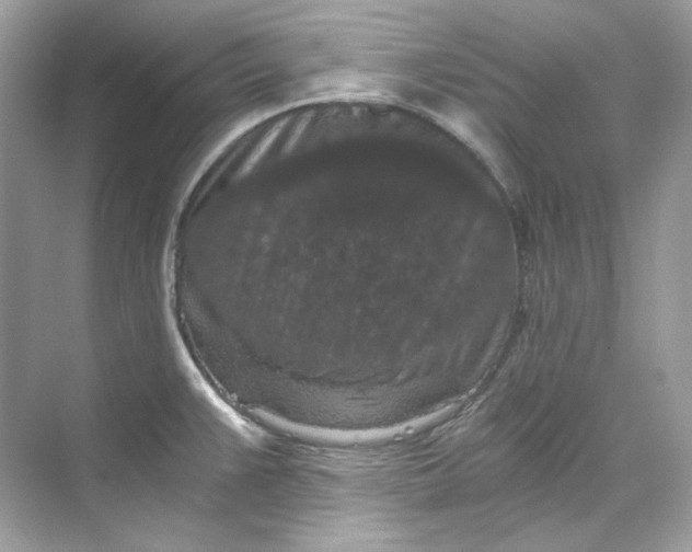 X0000069811383200606091824