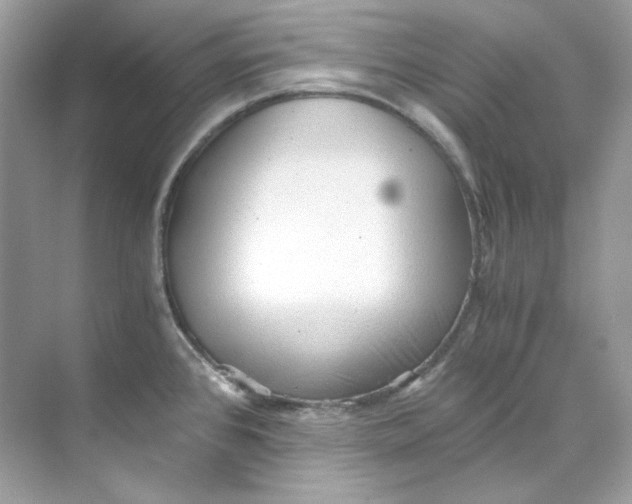 X0000069811384200606091824