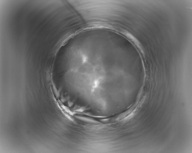 X0000069811385200606091823