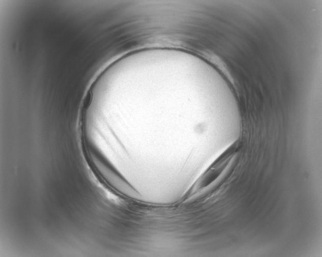 X0000069811387200606091823