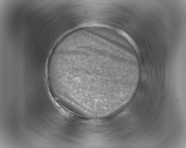 X0000069811388200606091823