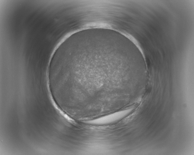 X0000069811389200606091823