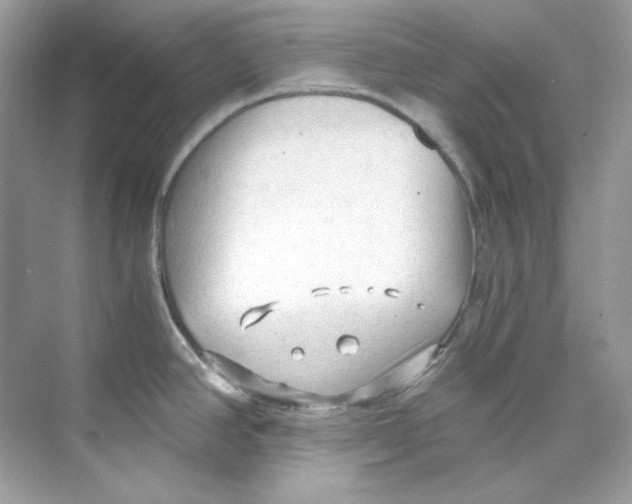 X0000069811390200606091823