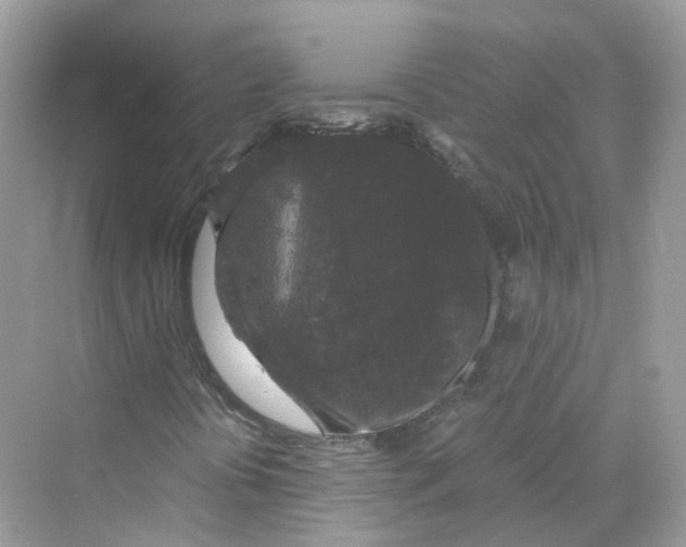 X0000069811394200606091823