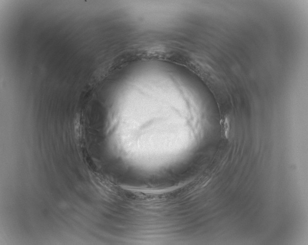 X0000069811395200606091823