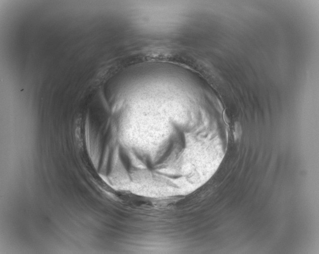 X0000069811396200606091823