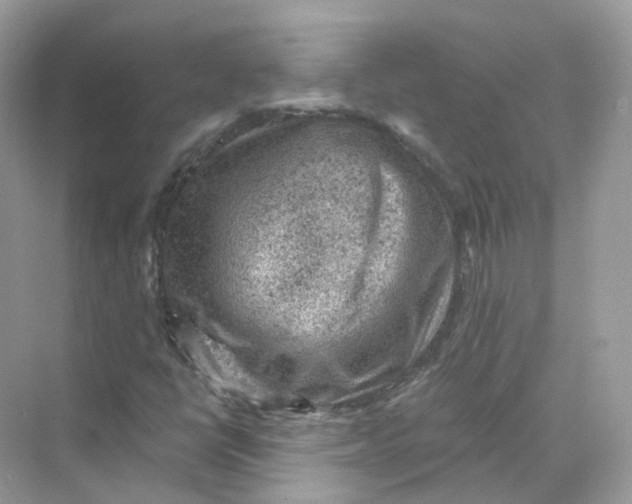 X0000069811398200606091823