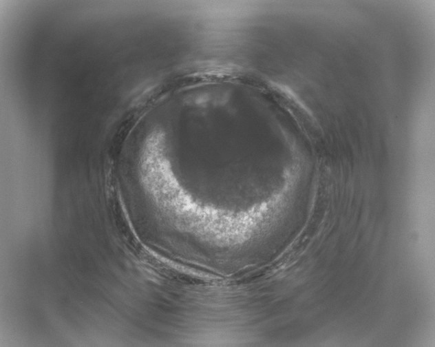 X0000069811399200606091823