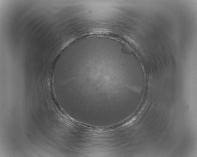 X0000069811401200606091823