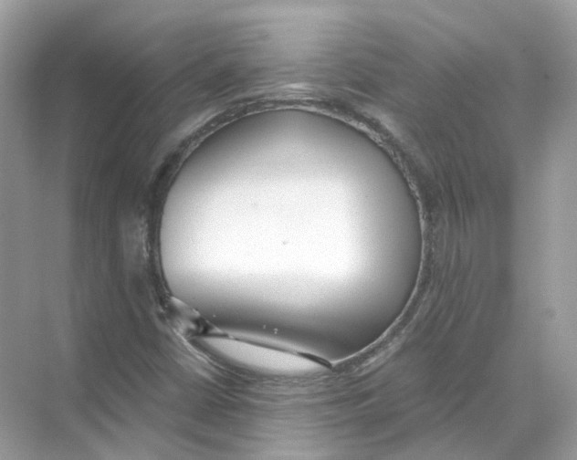 X0000069811402200606091823