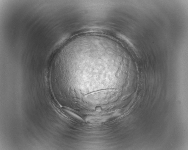 X0000069811403200606091823