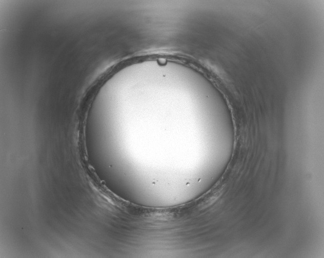 X0000069811406200606091823