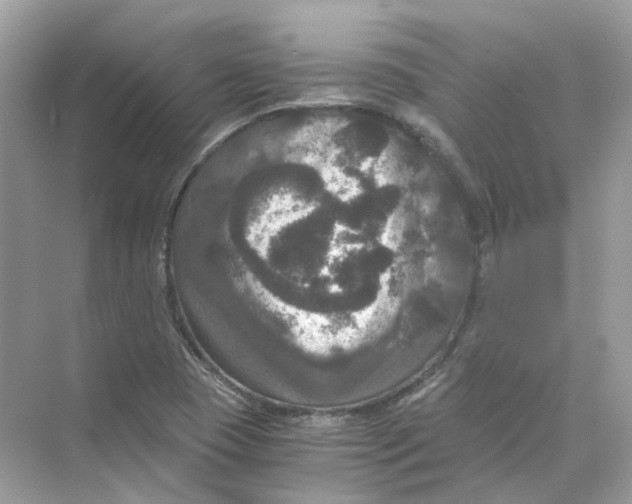 X0000069811409200606091823