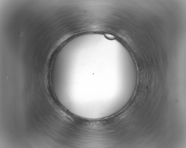 X0000069811410200606091823