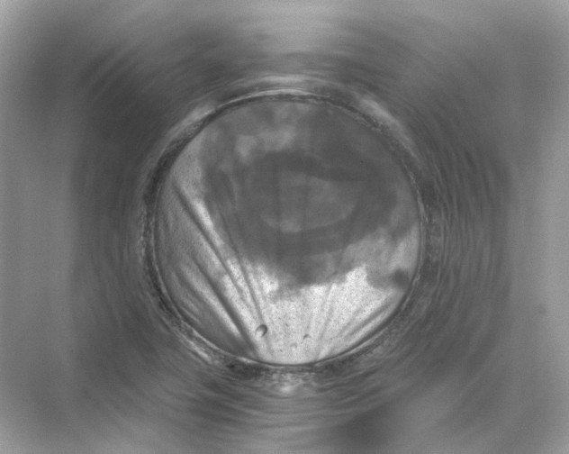 X0000069811411200606091823