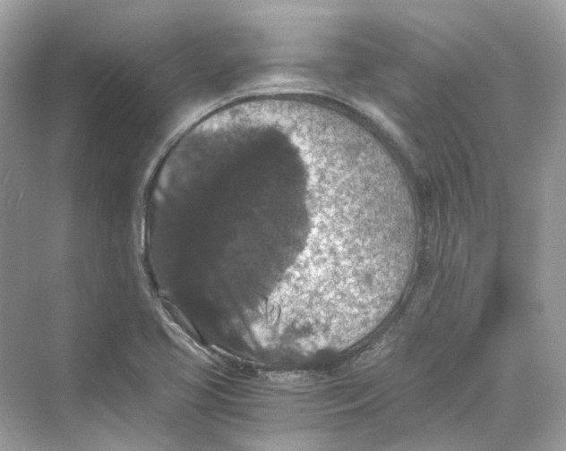 X0000069811413200606091823