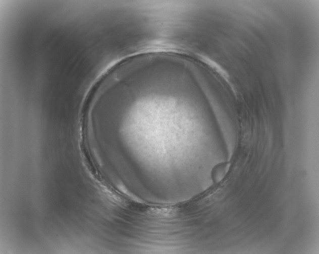 X0000069811415200606091823