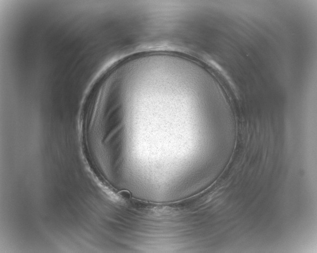 X0000069811416200606091823