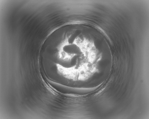 X0000069811417200606091823