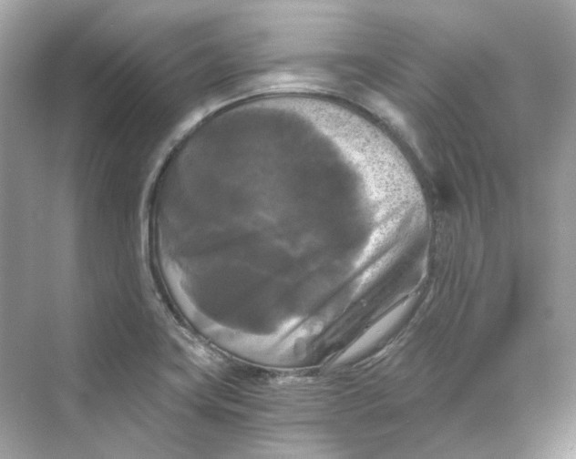 X0000069811419200606091823