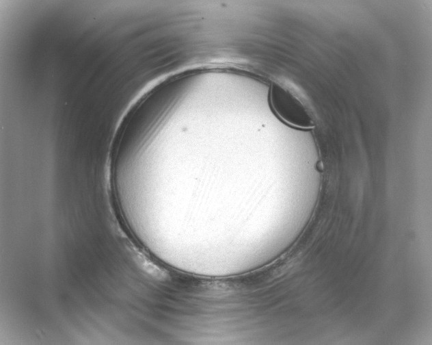 X0000069811420200606091823