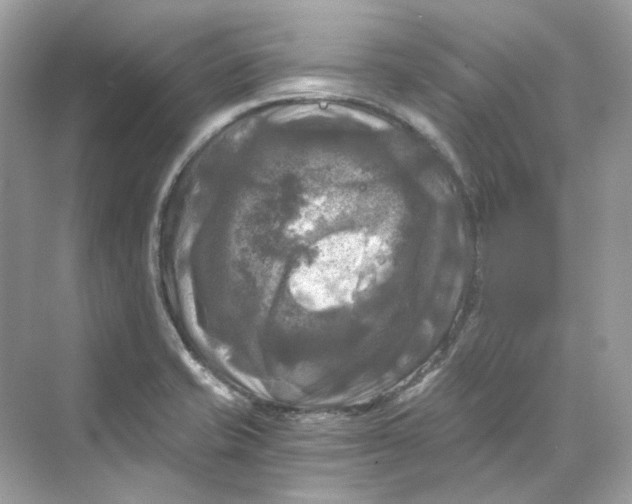 X0000069811421200606091823