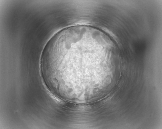 X0000069811423200606091823