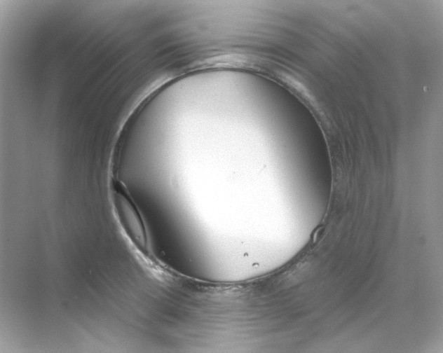 X0000069811426200606091823