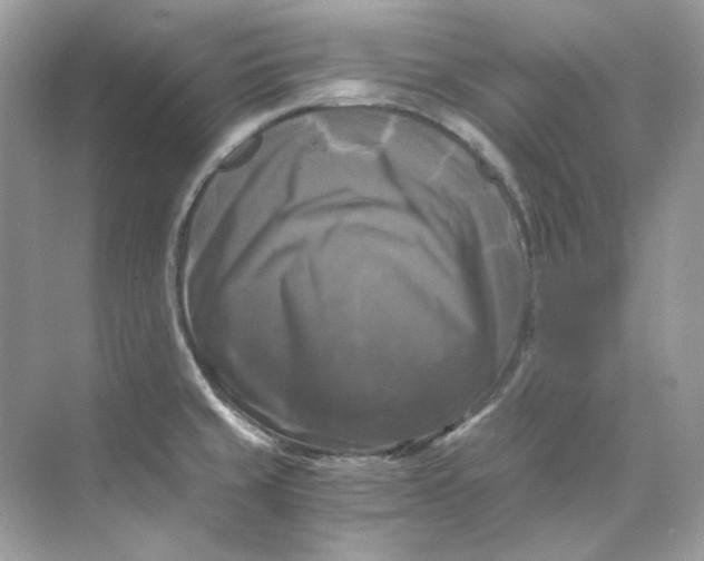 X0000069811429200606091823