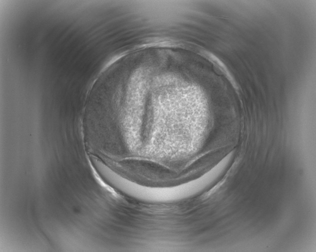 X0000069811433200606091823