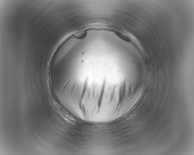 X0000069811435200606091823