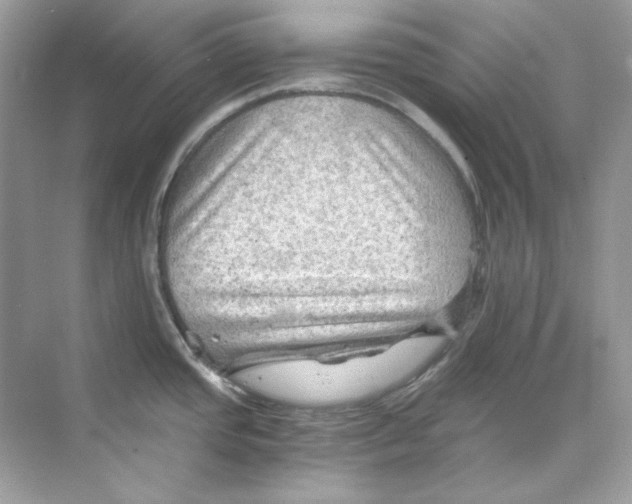 X0000069811437200606091823