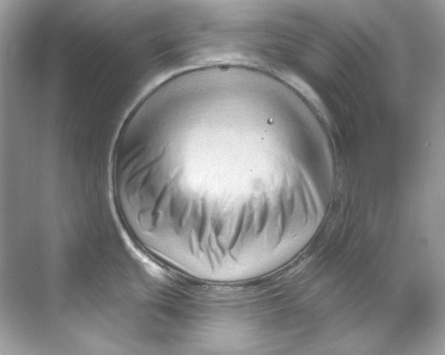 X0000069811439200606091823