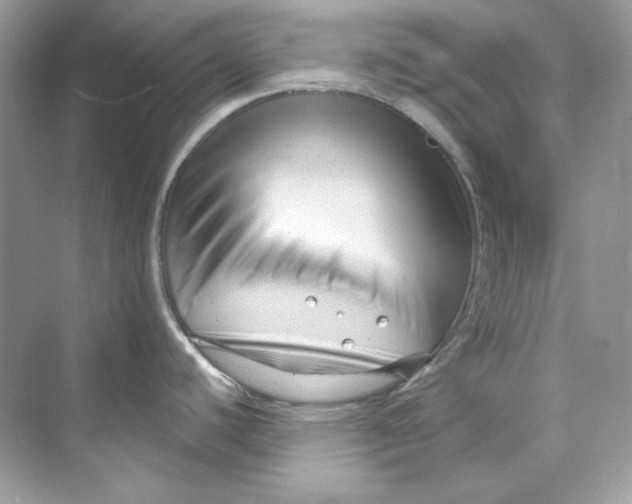 X0000069811440200606091823