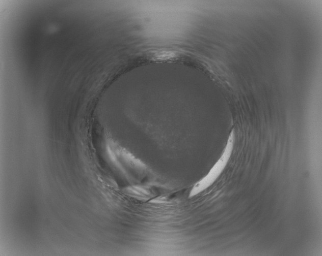 X0000069811441200606091823