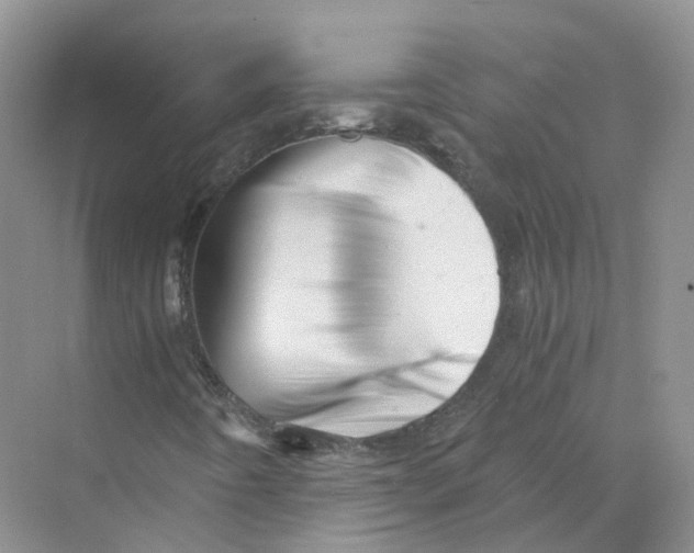 X0000069811442200606091823