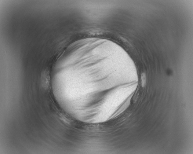 X0000069811444200606091822