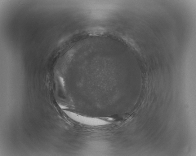 X0000069811445200606091822