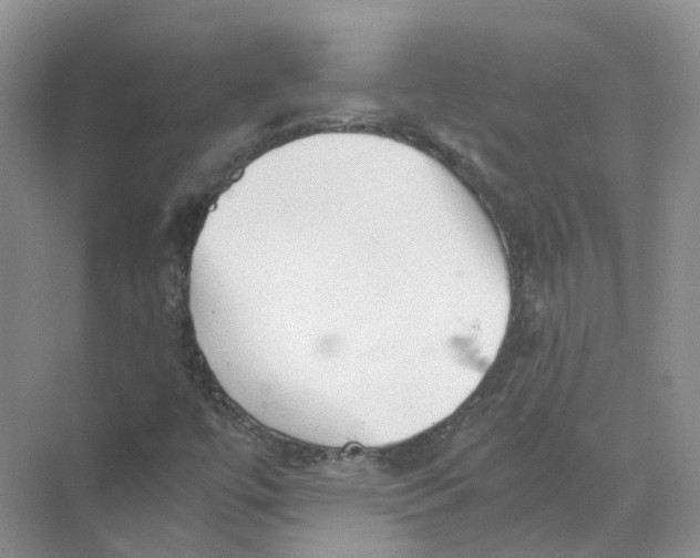 X0000069811447200606091822