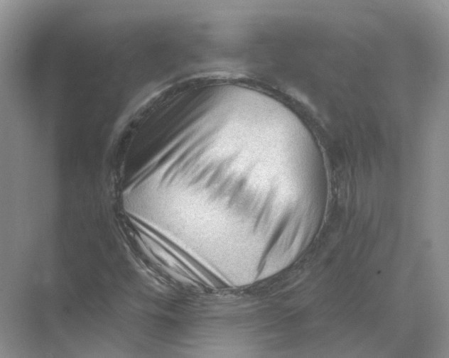 X0000069811448200606091822