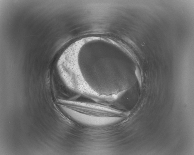 X0000069811450200606091822