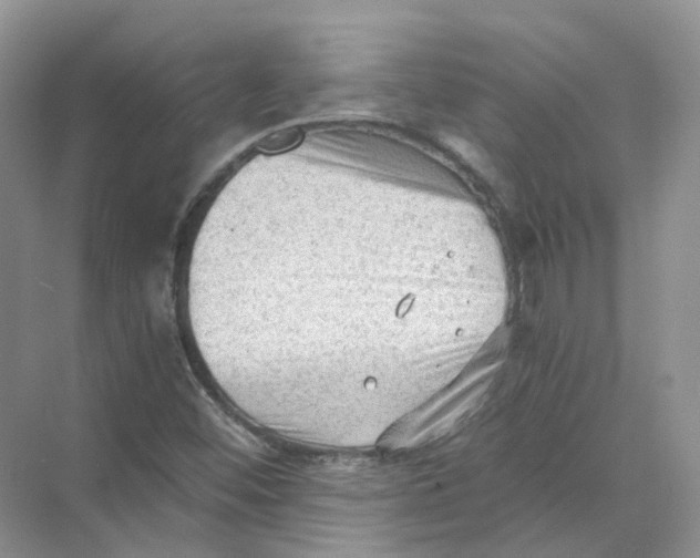 X0000069811452200606091822