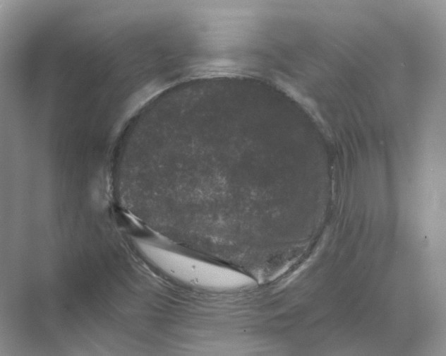 X0000069811453200606091822