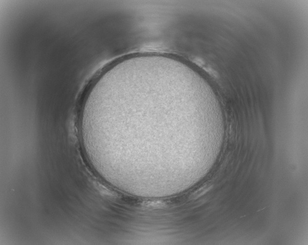 X0000069811454200606091822