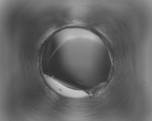 X0000069811455200606091822