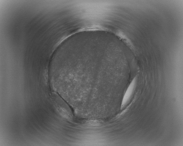 X0000069811457200606091822