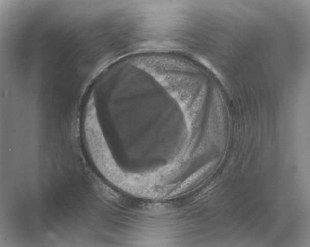 X0000069811459200606091822