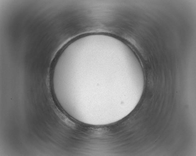 X0000069811460200606091822